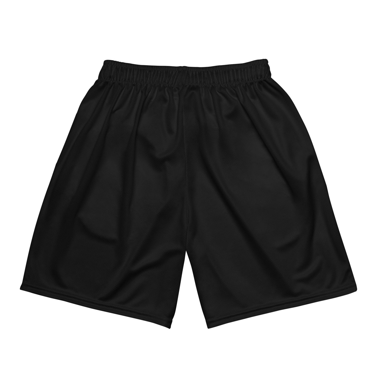 DS Mesh Shorts