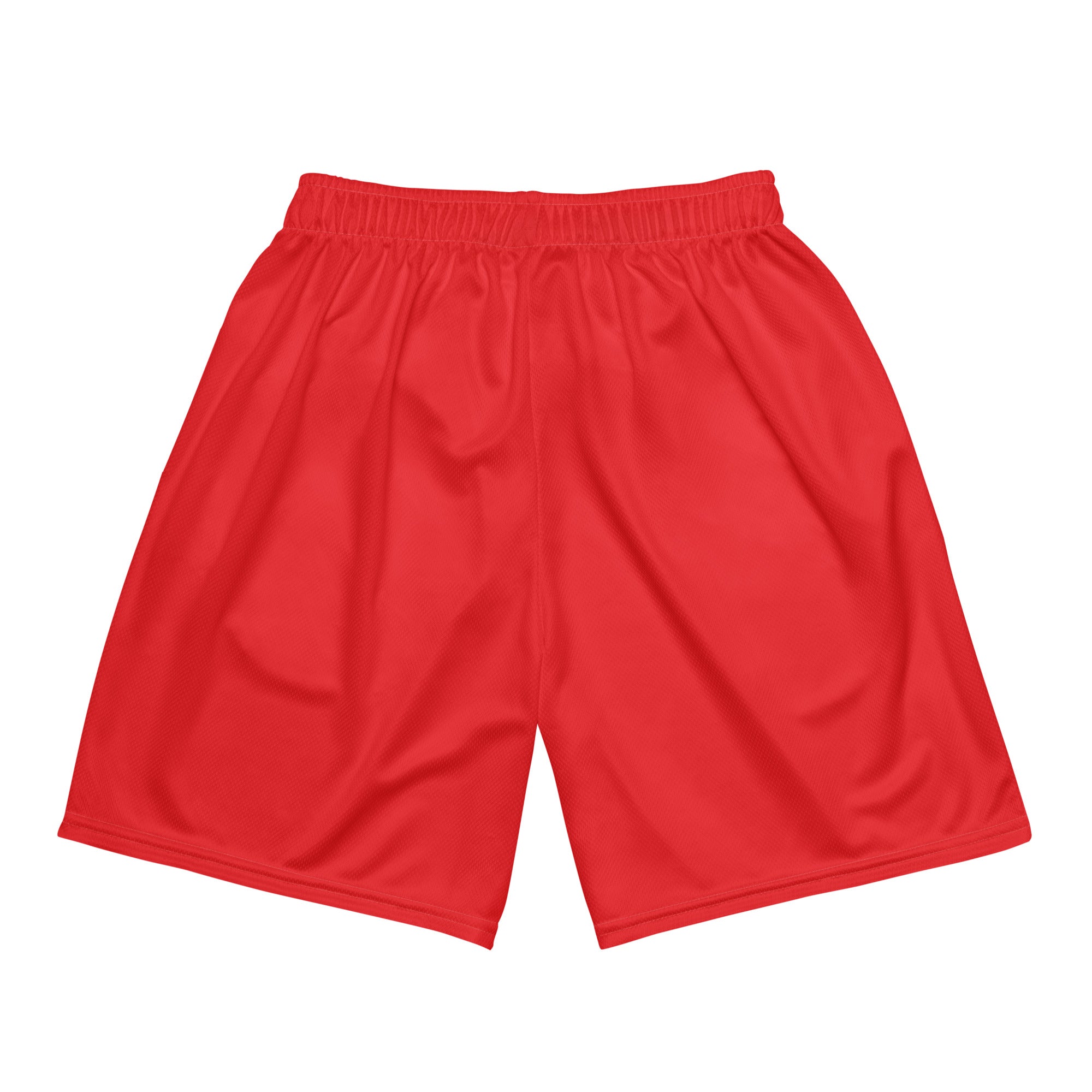 DS Mesh Shorts