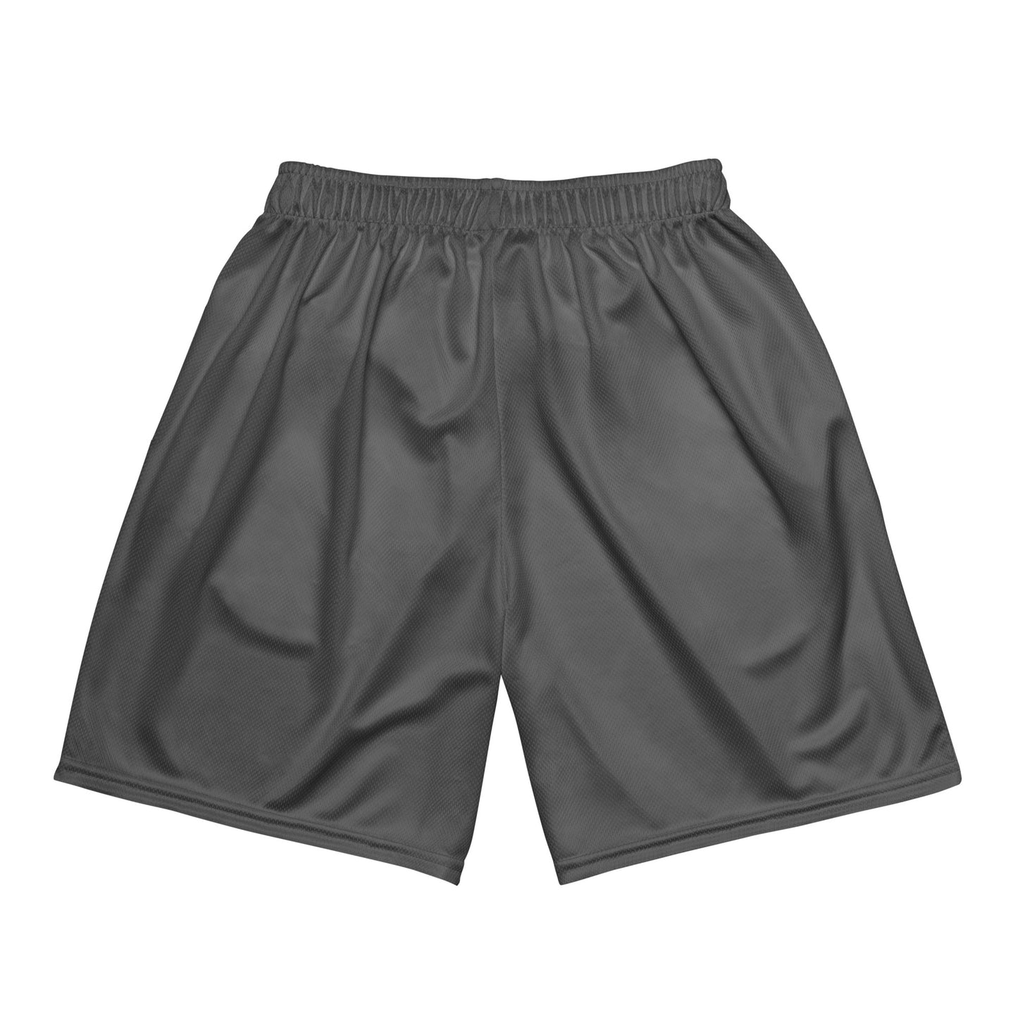 DS  Mesh Shorts