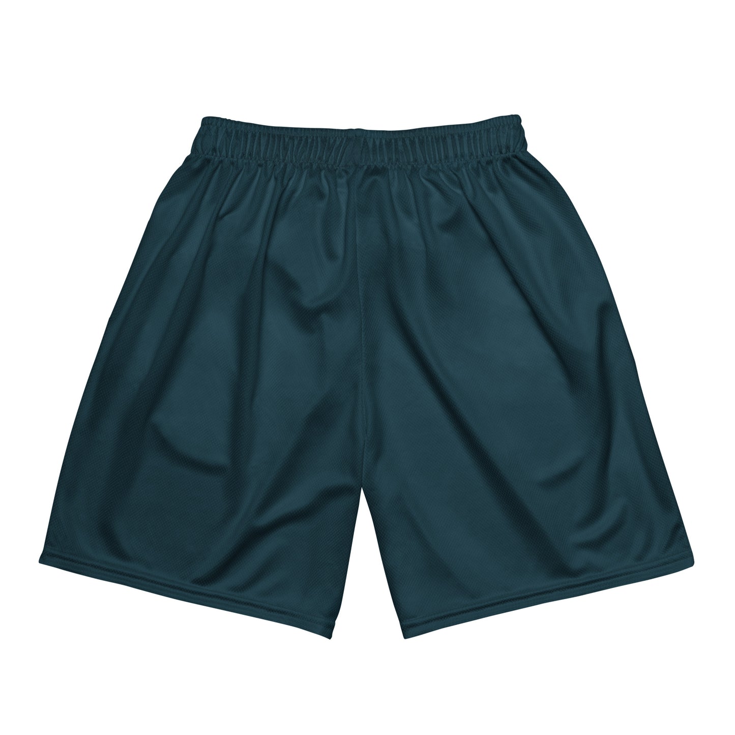DS Mesh Shorts