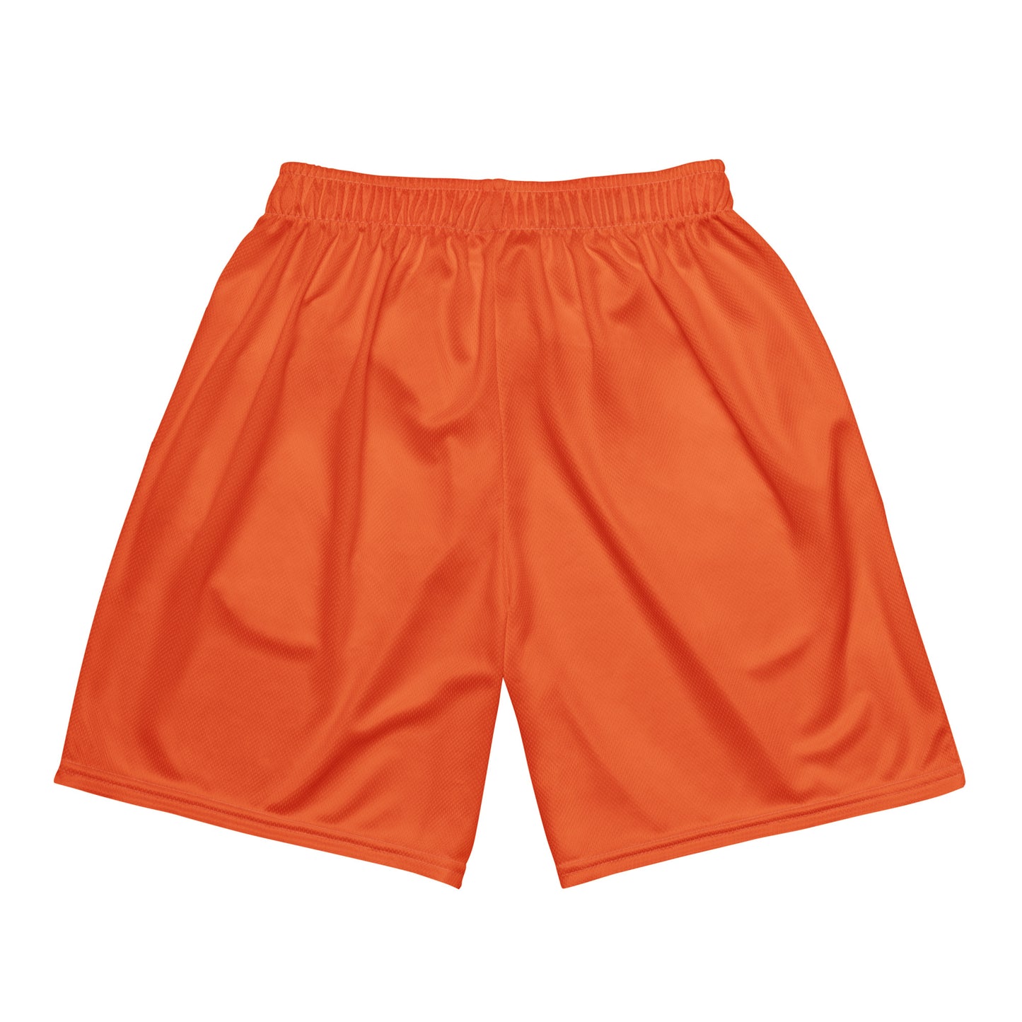 DS Mesh Shorts