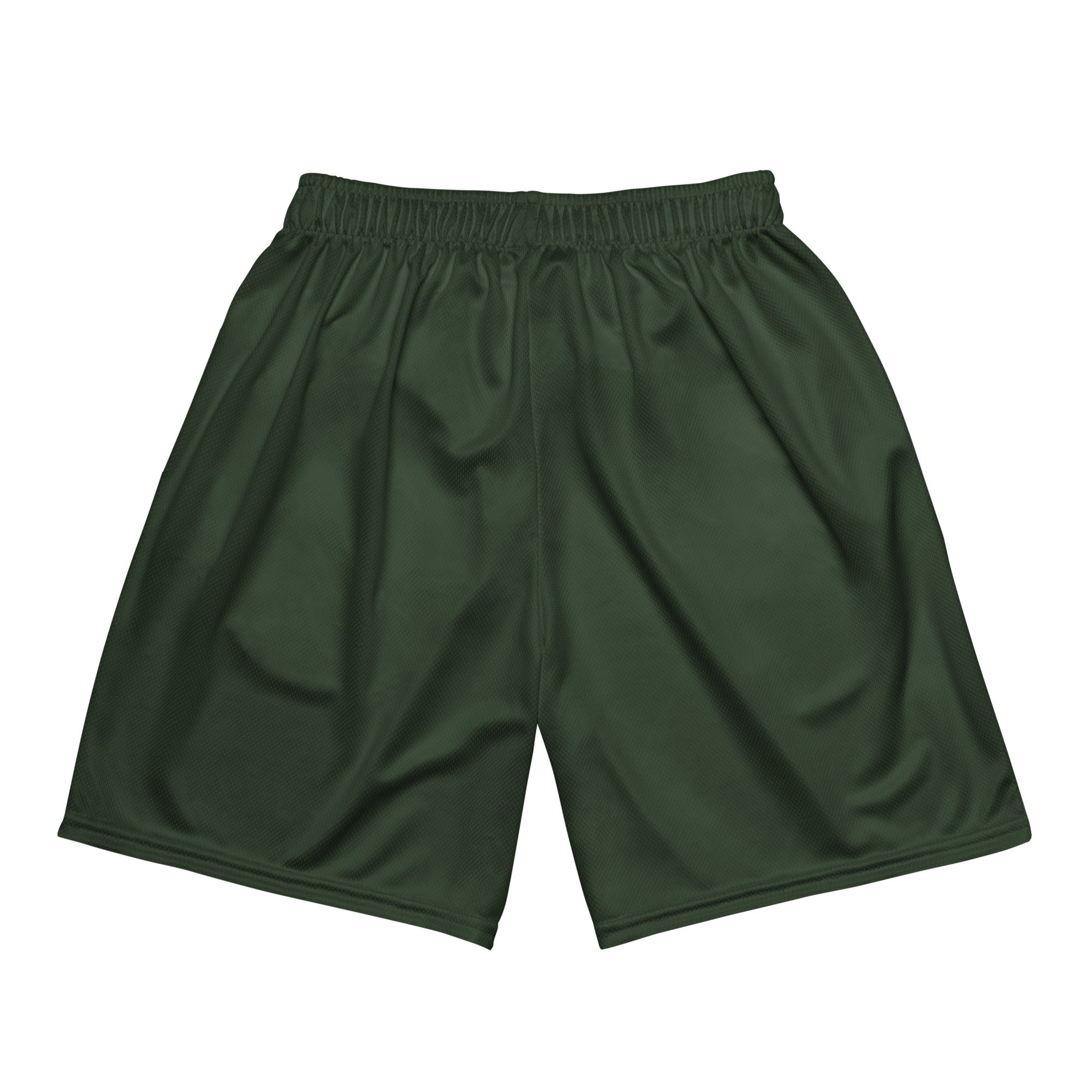 DS Mesh Shorts