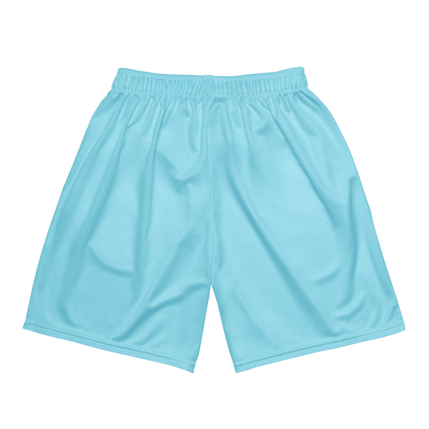 DS Mesh Shorts