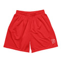 DS Mesh Shorts