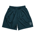 DS Mesh Shorts