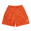 DS Mesh Shorts