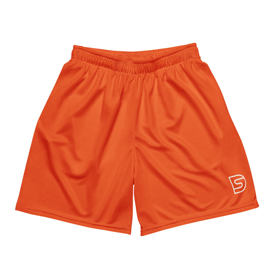 DS Mesh Shorts