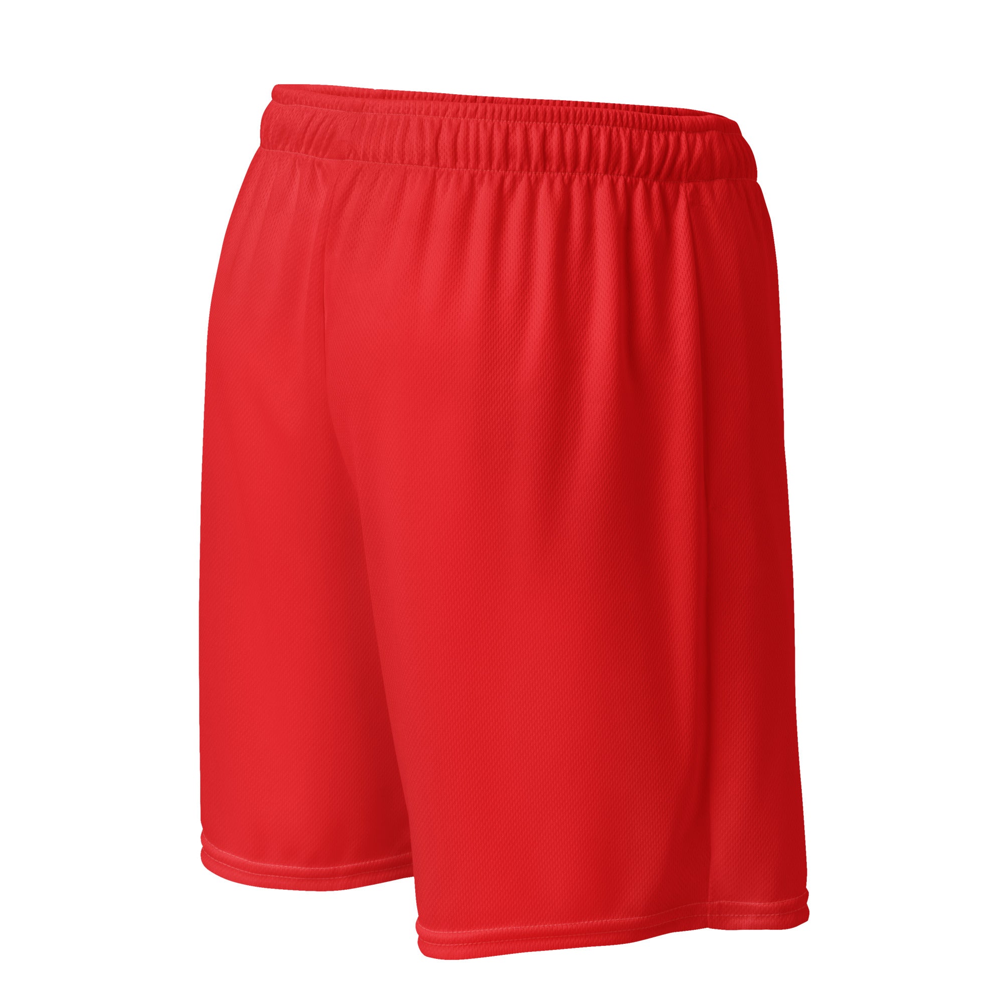 DS Mesh Shorts