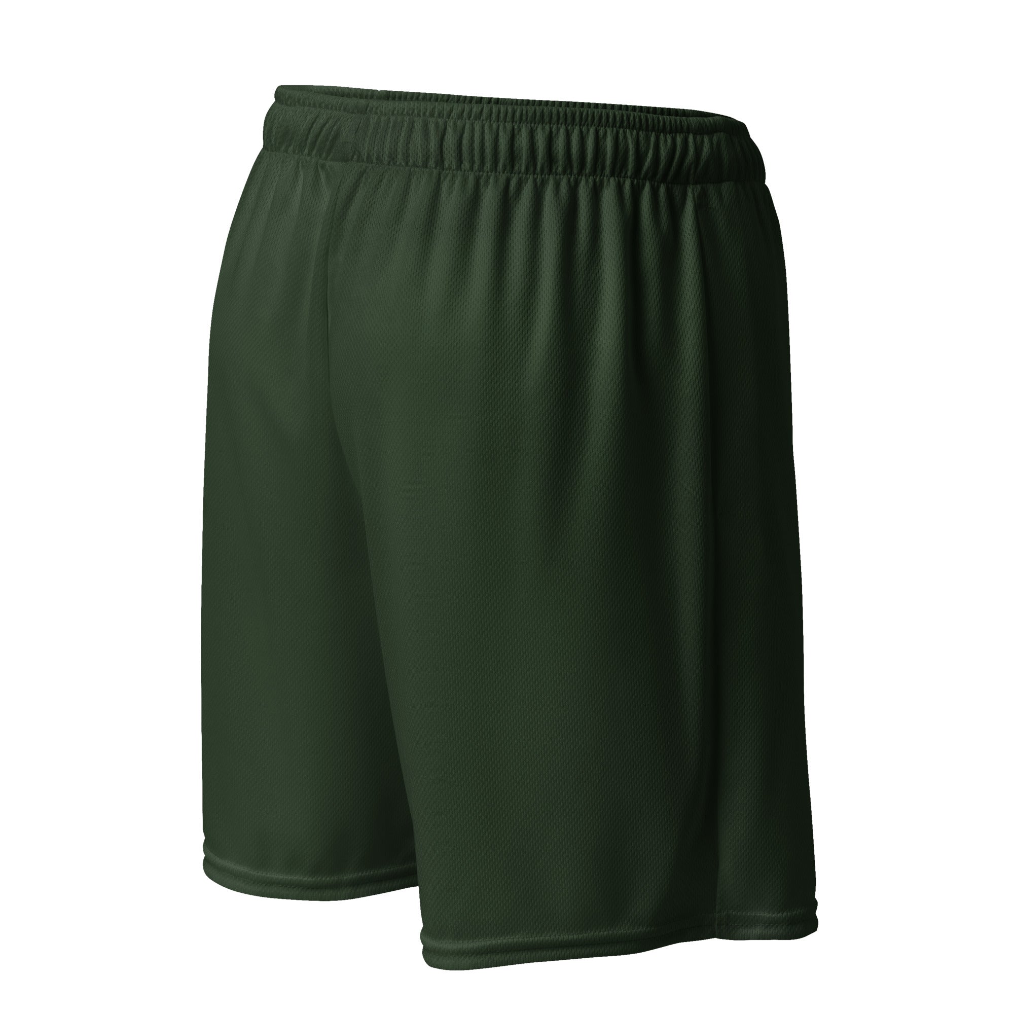 DS Mesh Shorts