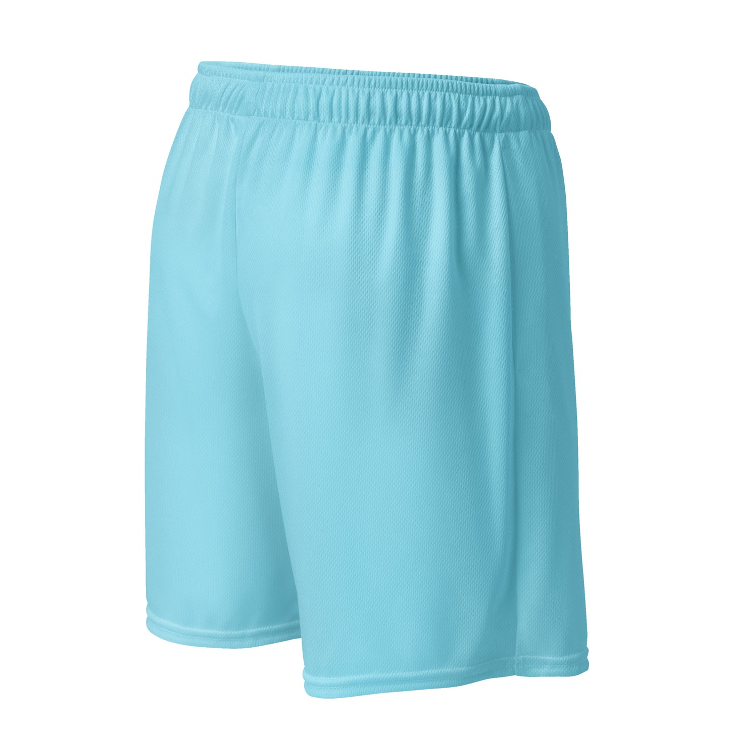 DS Mesh Shorts