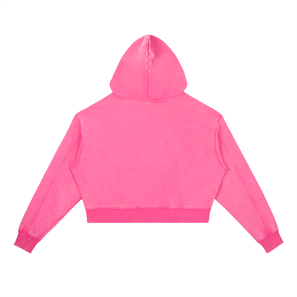 DS Vintage Washed Heavyweight Hoodie
