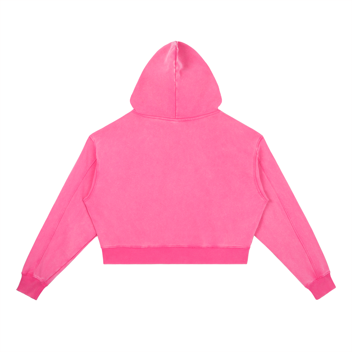DS Vintage Washed Heavyweight Hoodie